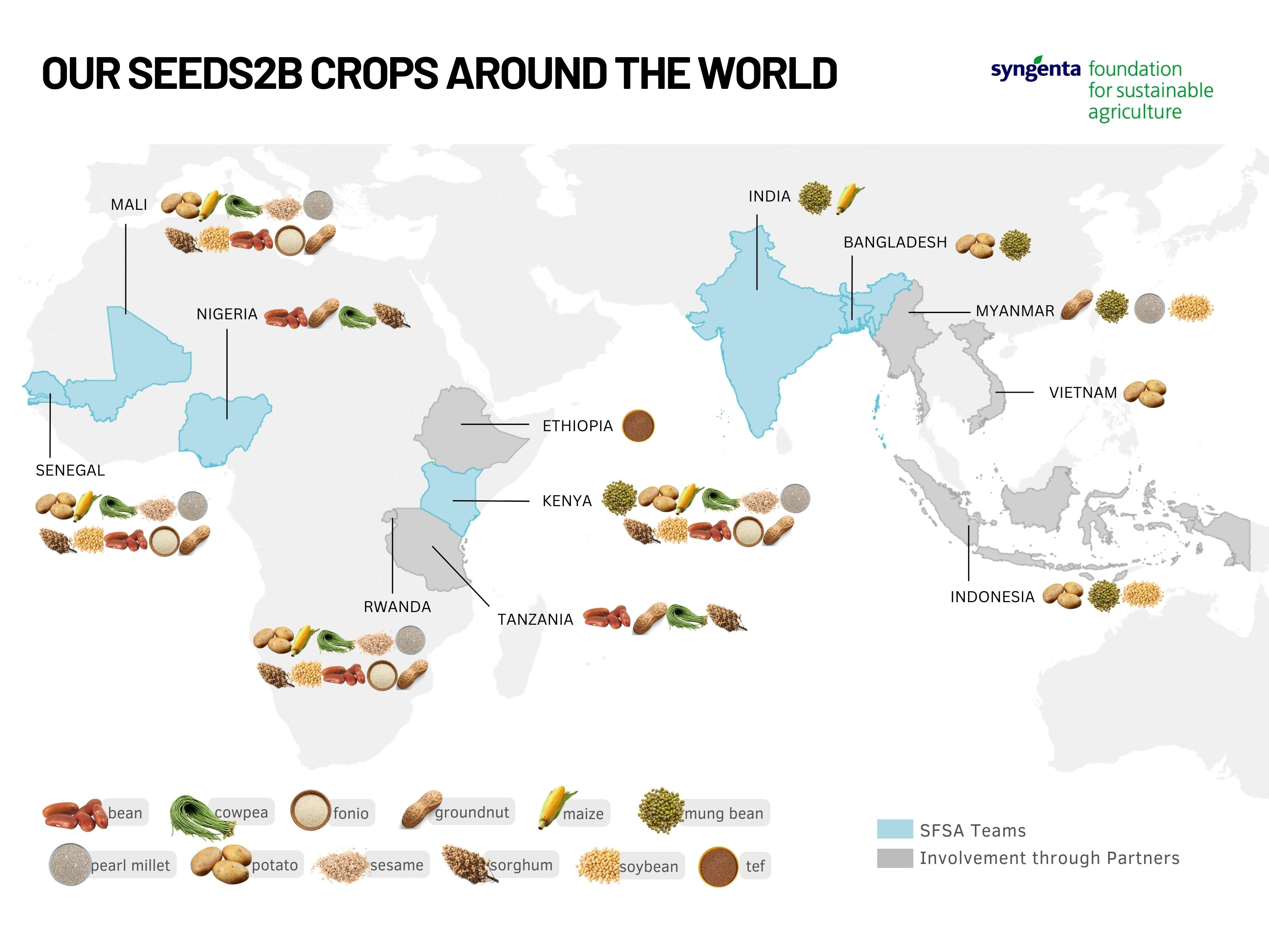 Our crops around the world