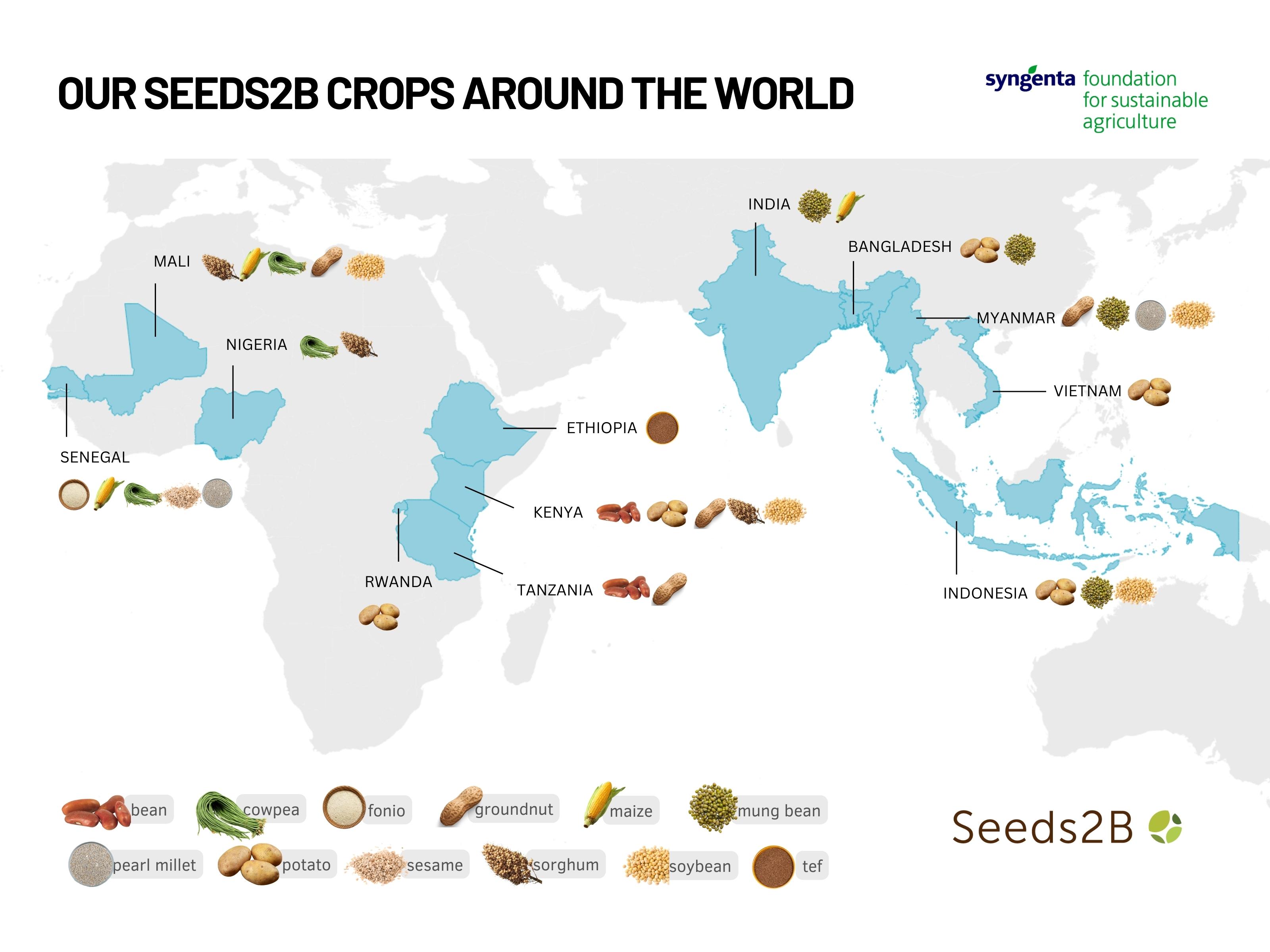 Seeds2B crops