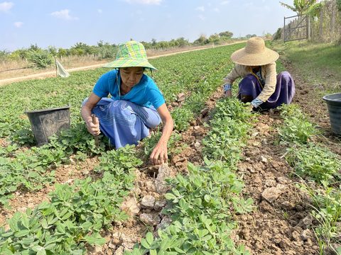 Two women on the Farm Myanmar