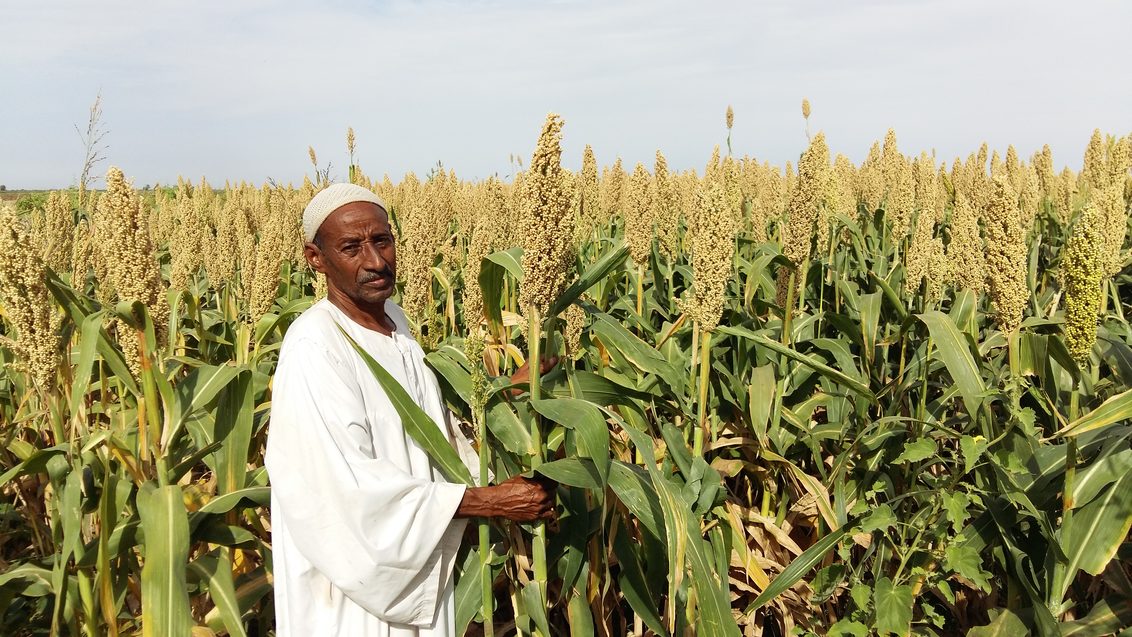 Sudan Farmer