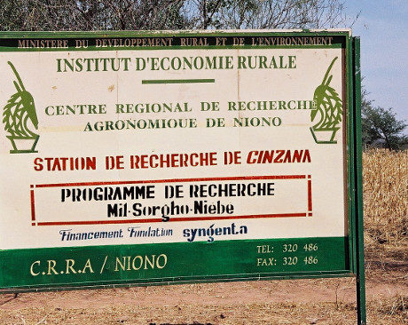 Cinzana research station - Mali